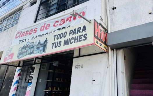 CASA AV. DE LA LUZ + 2 LOCALES COMERCIALES